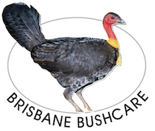 NRMjobs - 20004949 - Bush Regenerator