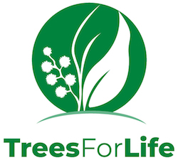 NRMjobs - 20000153 - Volunteers wanted: Help Restore & Protect SA's Native Vegetation