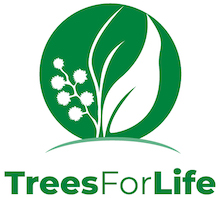 NRMjobs - 20004777 - Tree Scheme Coordinator