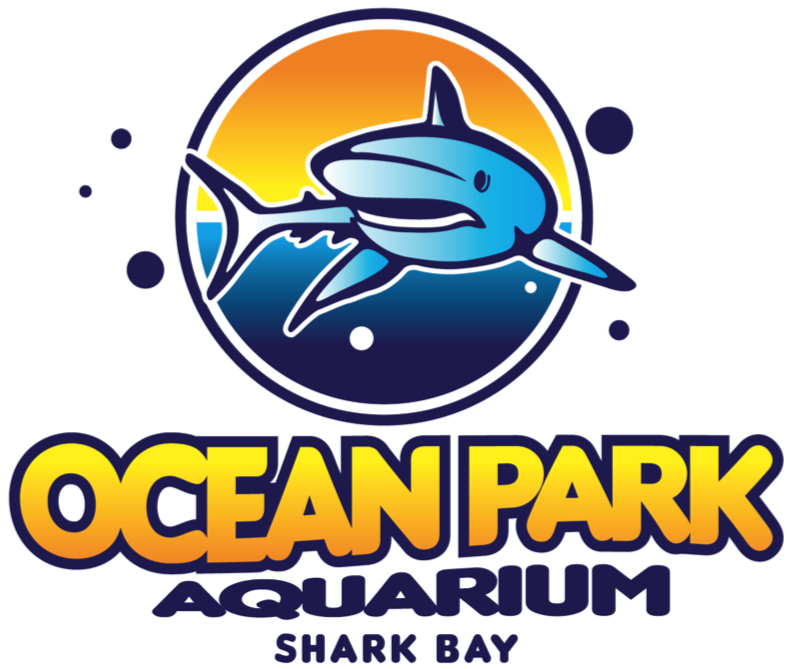 Sharks Bay. Shark Bay Австралия. Shark Park. Логотип детский парк Ocean Park.