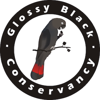 NRMjobs - 20005007 - Event Coordinator - Glossy Black-Cockatoo Birding Day