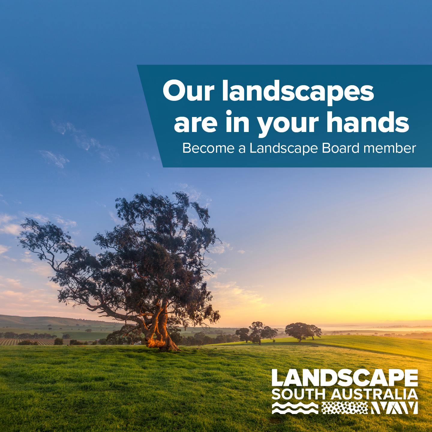 NRMjobs - 20005023 - Nominate to be a member of a new Landscape Board (various positions)