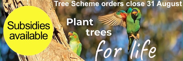 NRMjobs - 20005988 - Trees For Life - SA Tree Scheme closes soon (subsidies available)