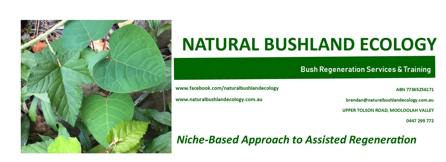 NRMjobs - 20007240 - Bush Regenerator (contract-basis)