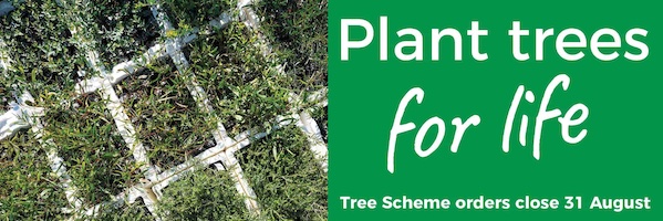 NRMjobs - 20009184 - Trees For Life - SA Tree Scheme closes soon (subsidies available)