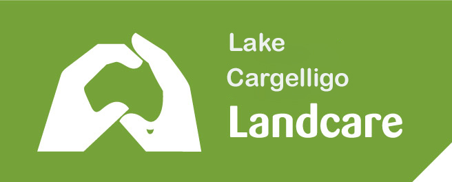NRMjobs - 20009830 - Local Landcare Coordinator - Lake Cargelligo