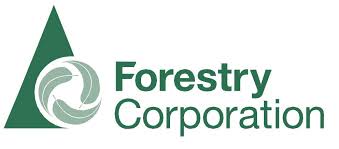 NRMjobs - 20012156 - Forest Supervisor - Softwood Plantations (x3)