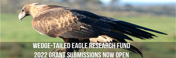 NRMjobs Notice 20012966 - 2022 Round of the Tasmanian Wedge-tailed Eagle Research Fund is open