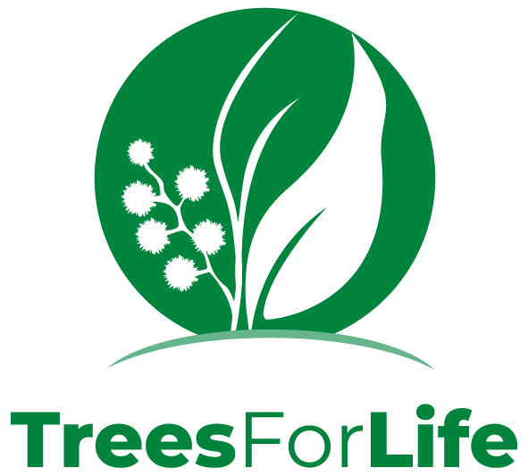 NRMjobs - 20015386 - Tree Scheme Coordinator