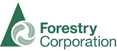NRMjobs - 20018784 - Forestry Workers - Mossvale
