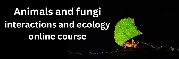 NRMjobs Notice 20023585 - Animals and fungi interactions and ecology